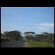 1164-kenia 2010.JPG